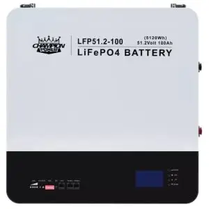 LiFePO4 51.2V 100Ah
